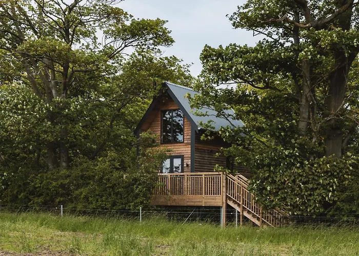 The Tree Houses At Madeira In Fife