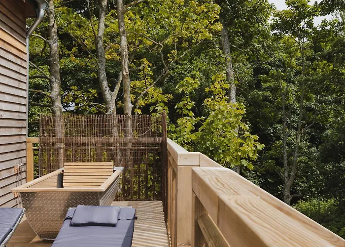 The Tree Houses At Madeira In Fife